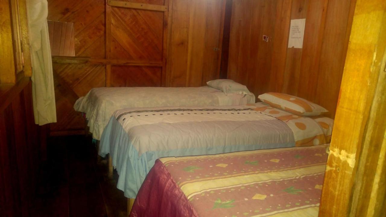 La Tranquilidad Hostel Mindo Zewnętrze zdjęcie